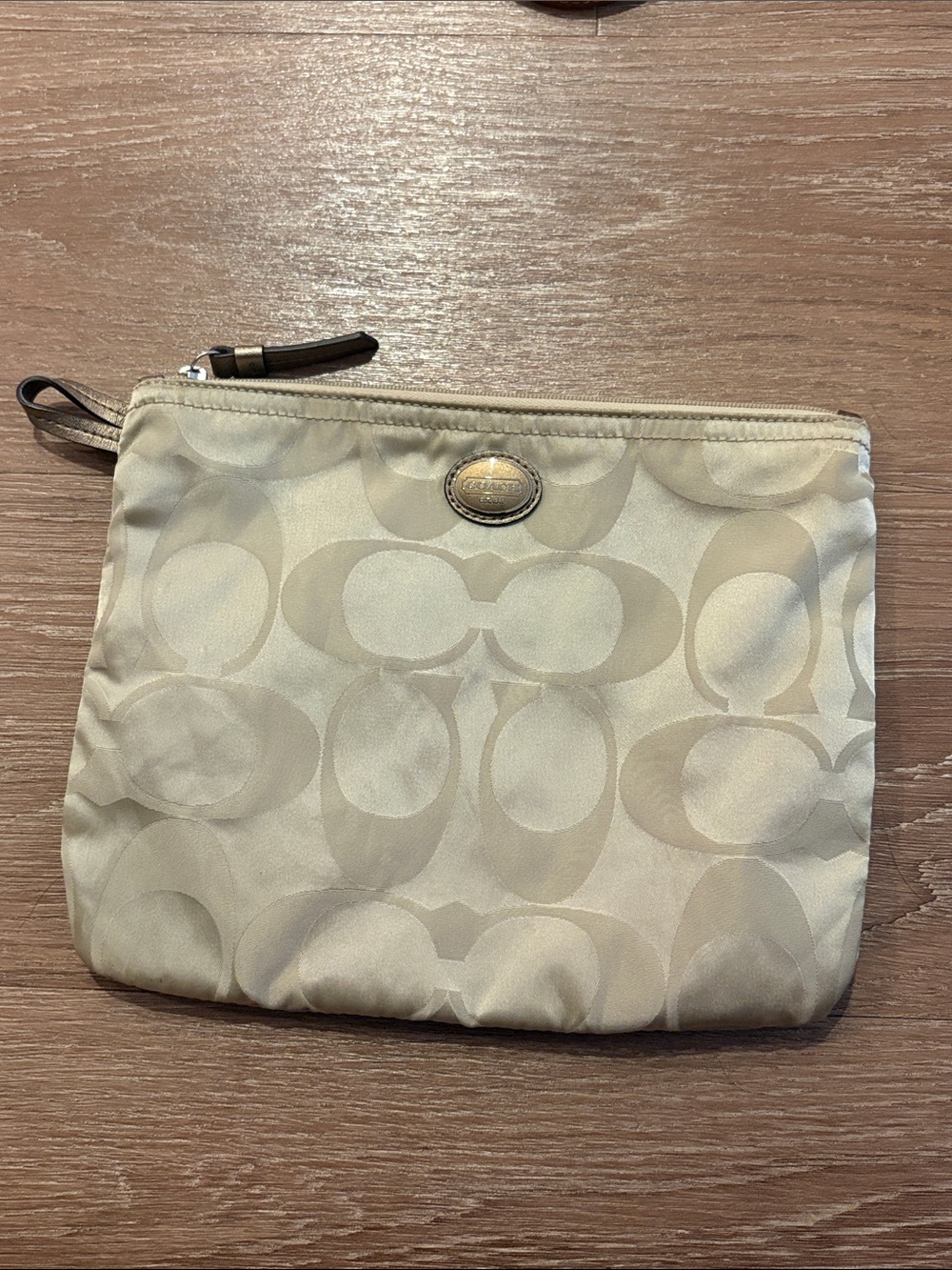 Coach Travel Bag